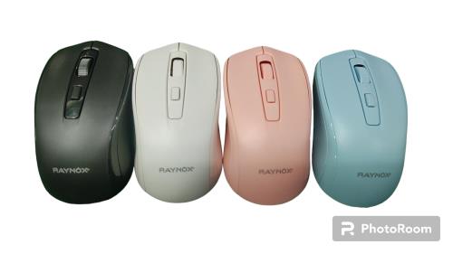 Mouse / RAYNOX Mouse